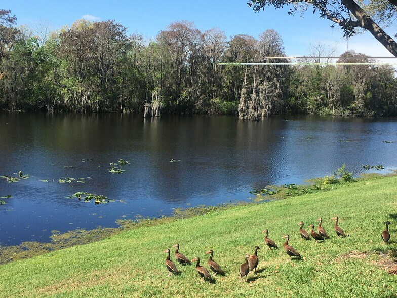 Building Photo - 7433 Terrace River Dr