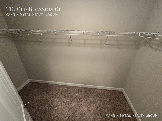 Building Photo - 113 Old Blossom Ct