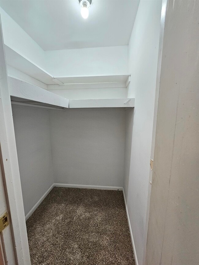 Building Photo - 3509 Tullamore Ln