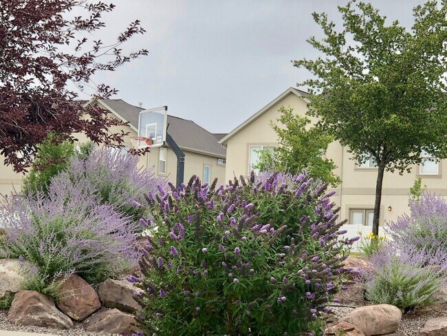 Building Photo - 10828 Wynview Ln