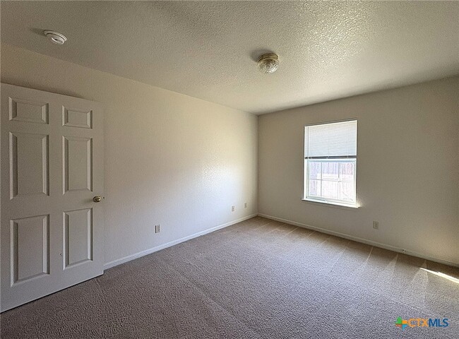 Building Photo - 2703 Vernice Loop