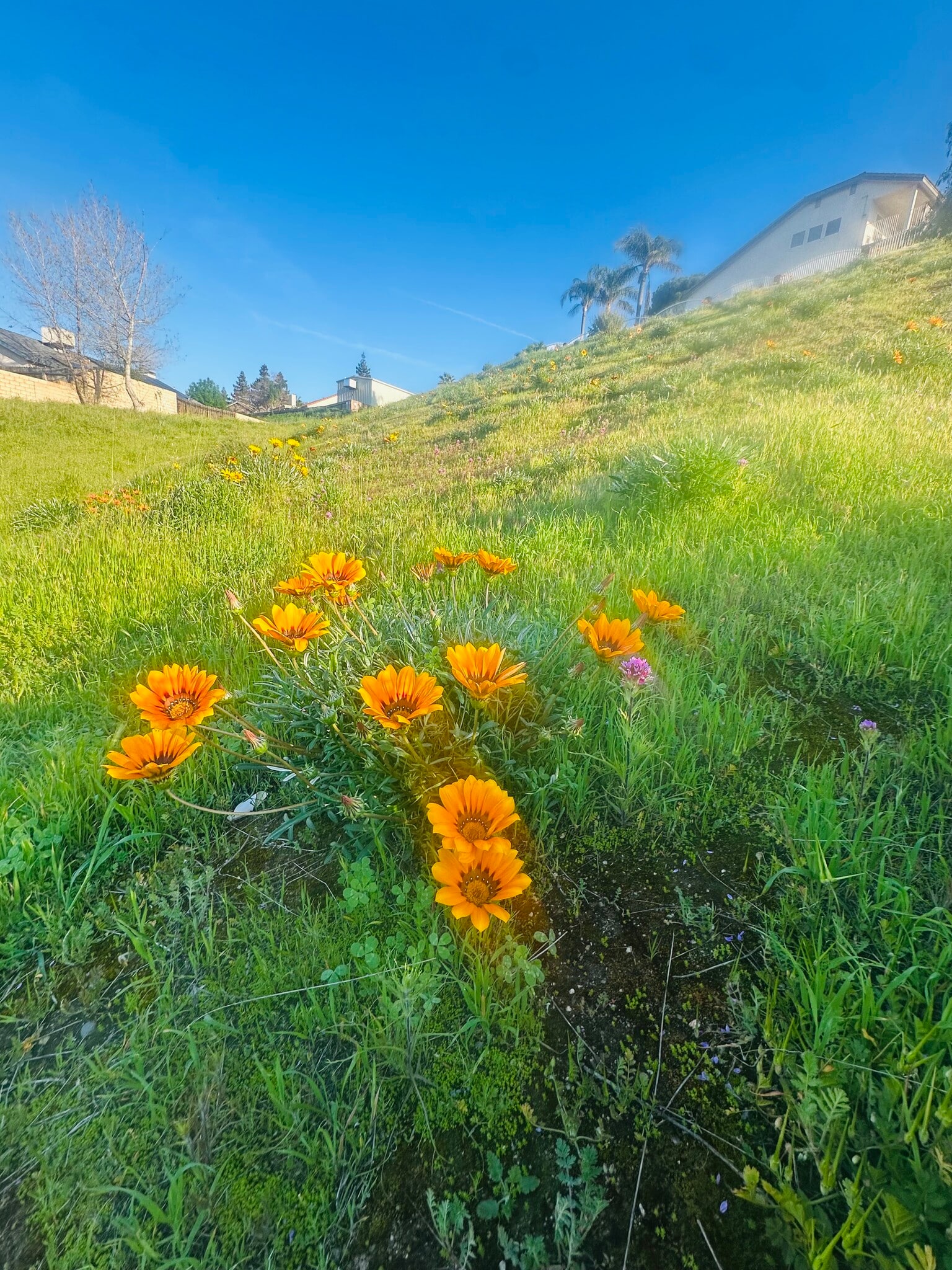 Building Photo - 6005 Hill Dale Ct