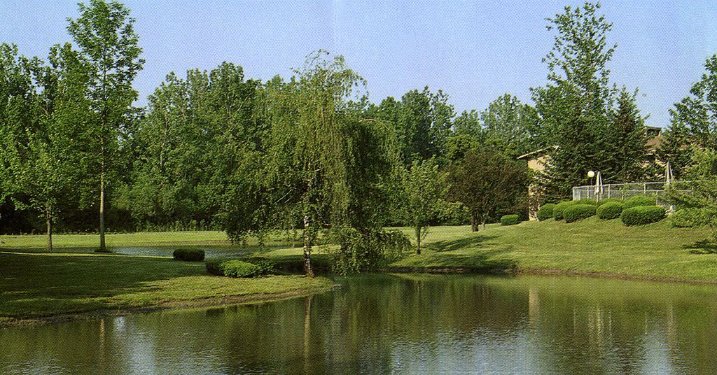 Ponds located within community - 207 Watertree Dr