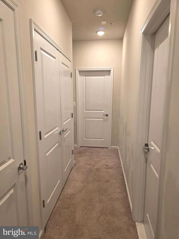 Building Photo - 311 Ibis Ct