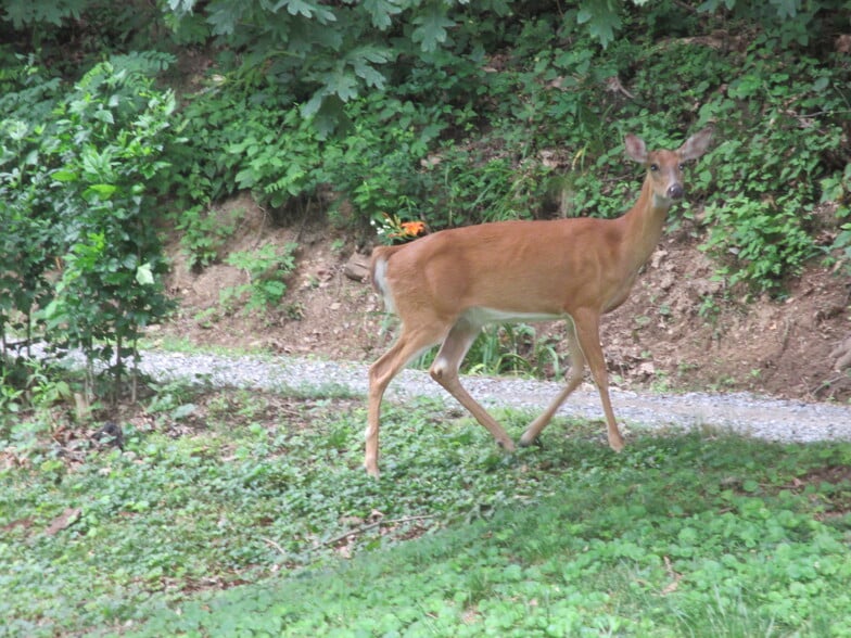 Building Photo - 2284 McKees Rocks Rd