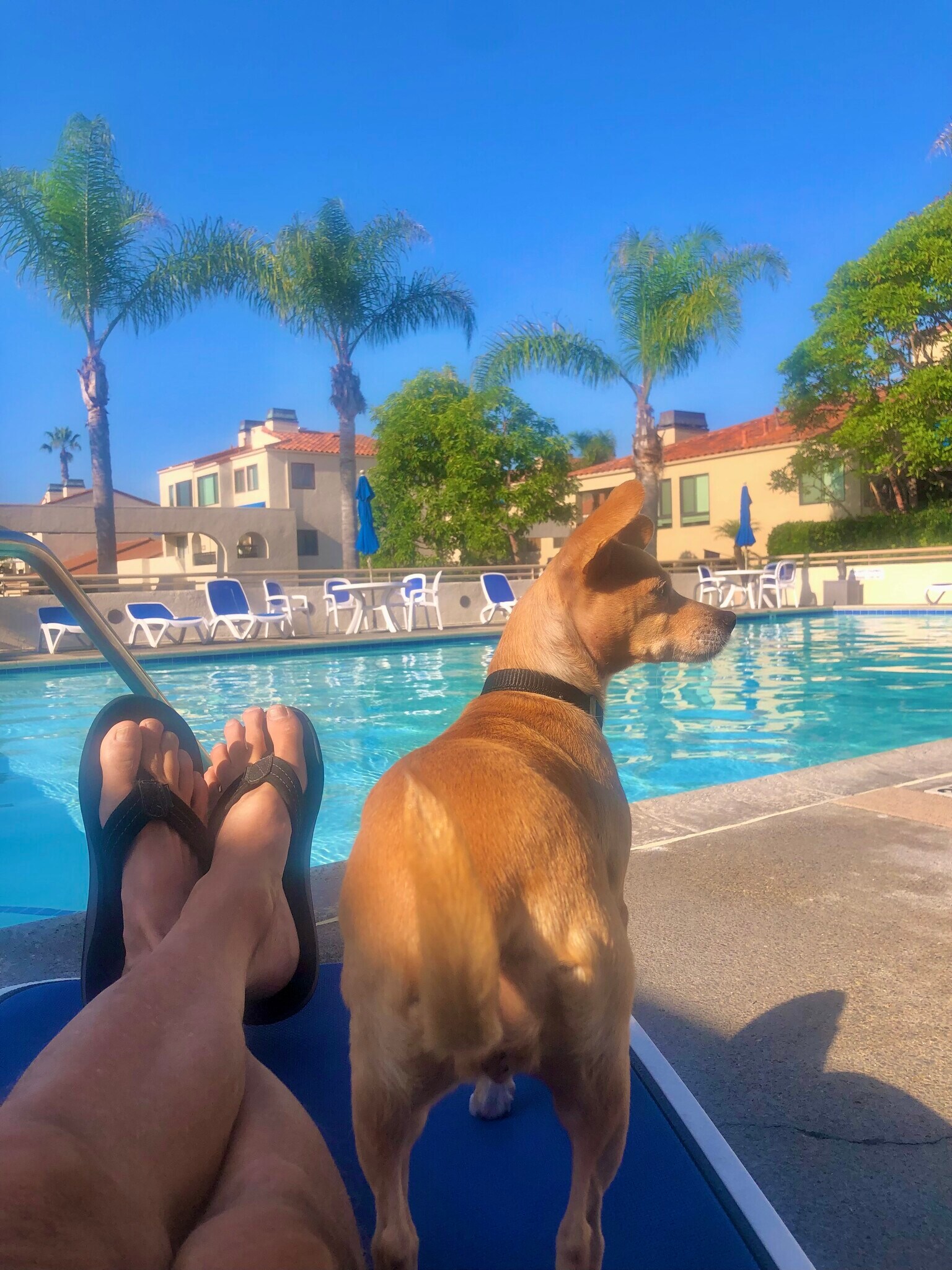 Building Photo - 3289 Moritz Dr