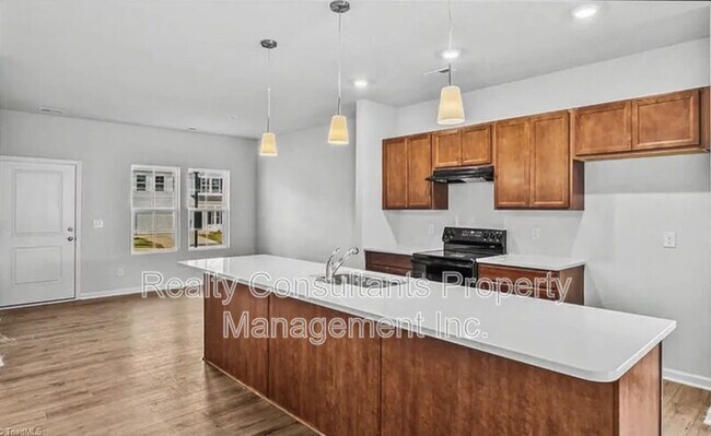 Building Photo - 534 Raspberry Hl Dr