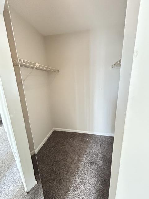 Building Photo - 912 Sandtree Dr