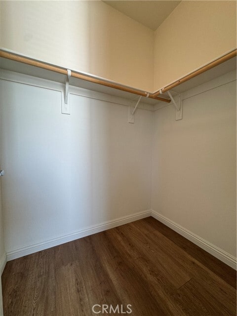 Building Photo - 14223 Symphony Ct