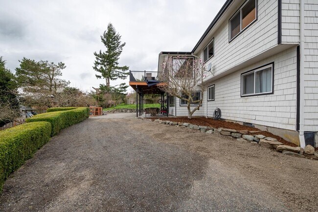 Back Yard - 2433 Crestline St