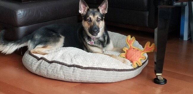 Building Photo - 33055 Dolphin Ct