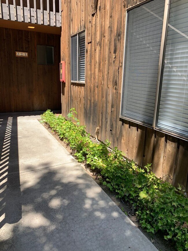 Building Photo - UPDATED2 Bed/2 Bath Alpine Oaks Condo