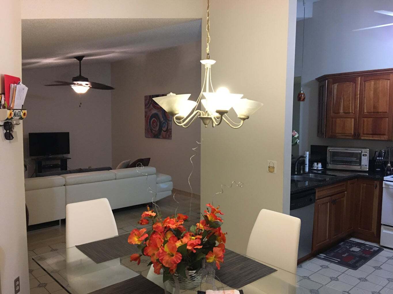 view from dining room - 373 Springdale Cir