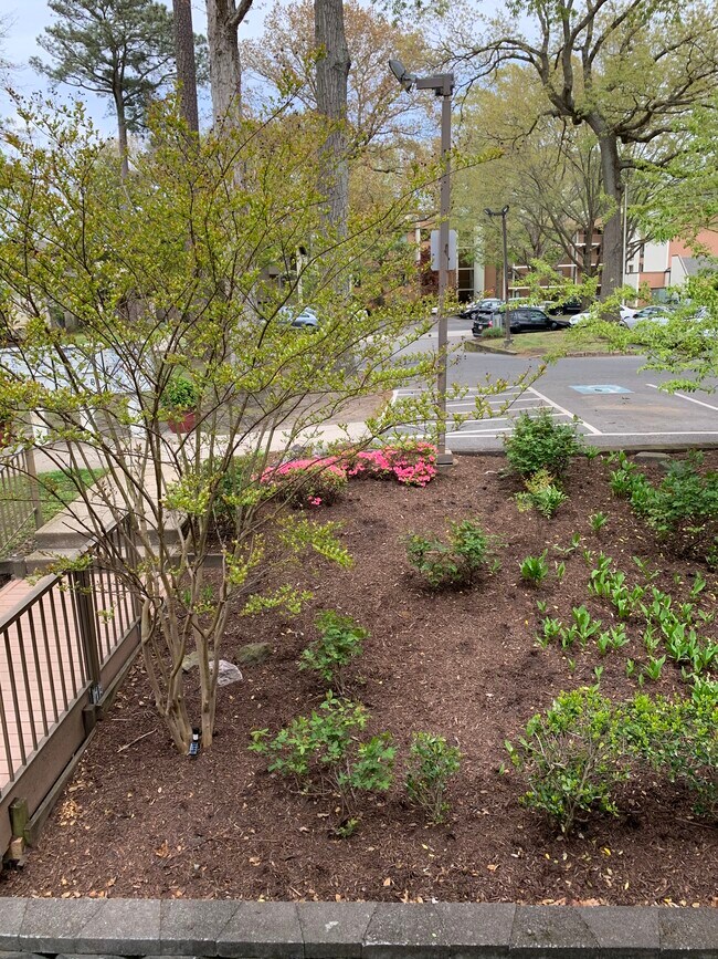 Flower Garden - 231 Canal Park Dr