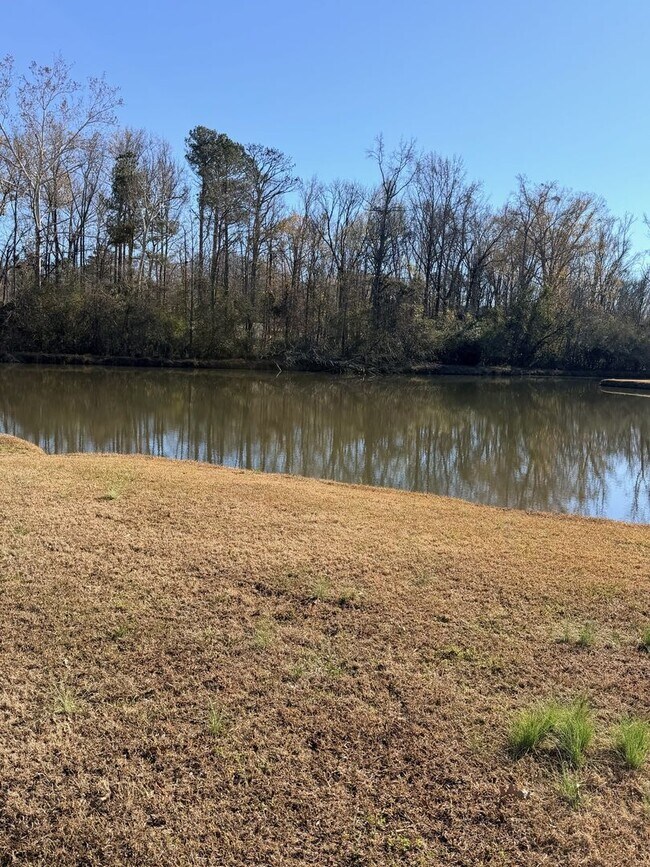 Building Photo - 103 Chestnut Ridge