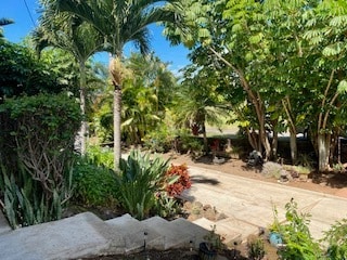 Building Photo - 3311 Mapu Dr