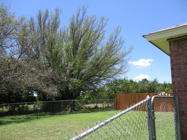 Building Photo - 163 Armadillo Ln