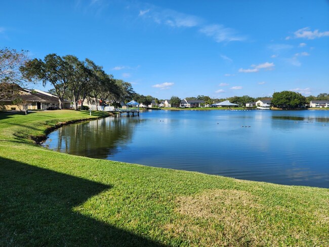 Primary Photo - Water front Condo 1/1 located in the heart...