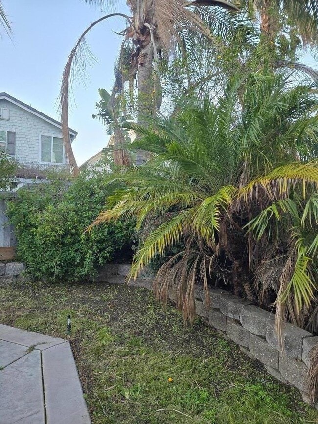 Building Photo - 1457 Paradise Ln