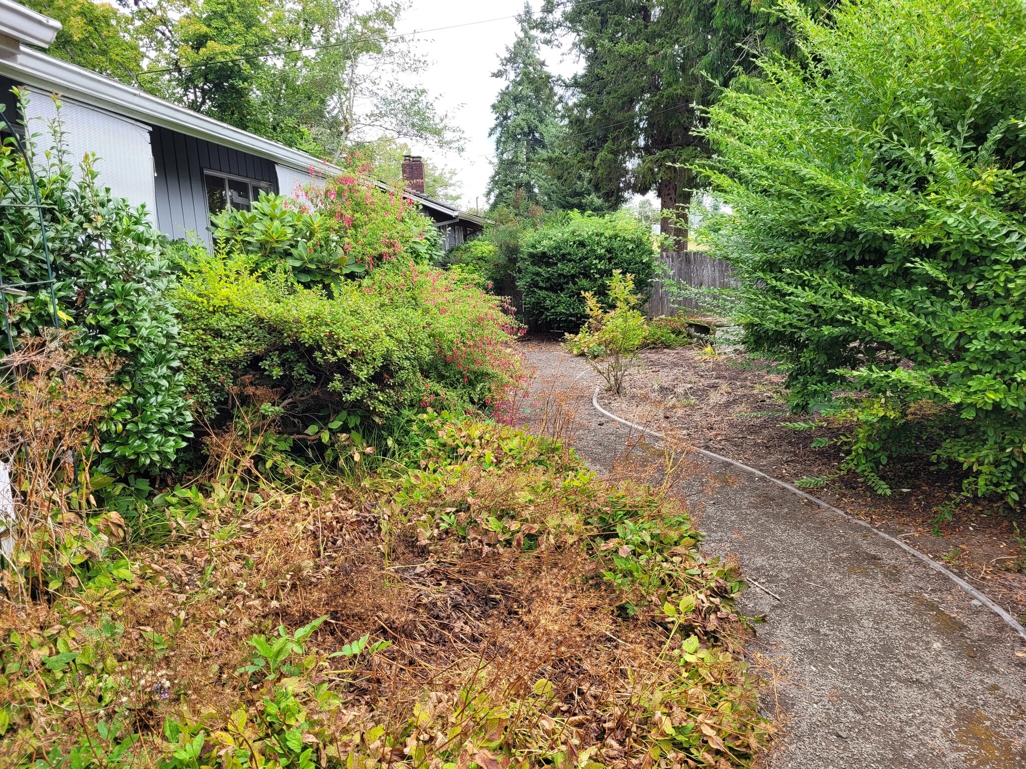 Building Photo - 5955 SW 179th Ave