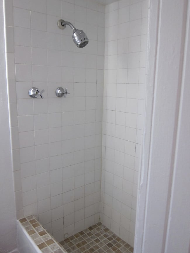 Bathroom - 1103 E Adams St