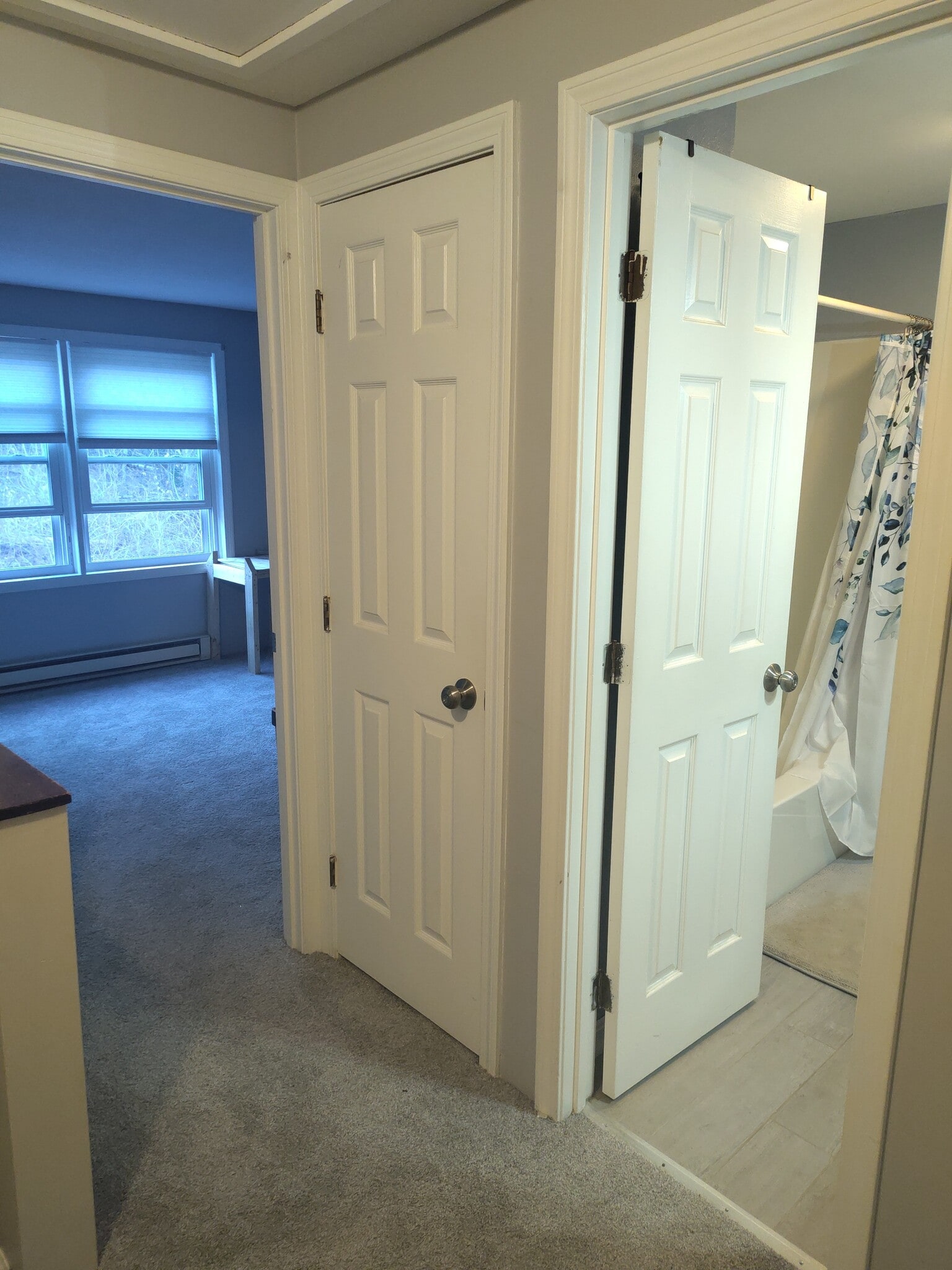 Building Photo - 814 Court St