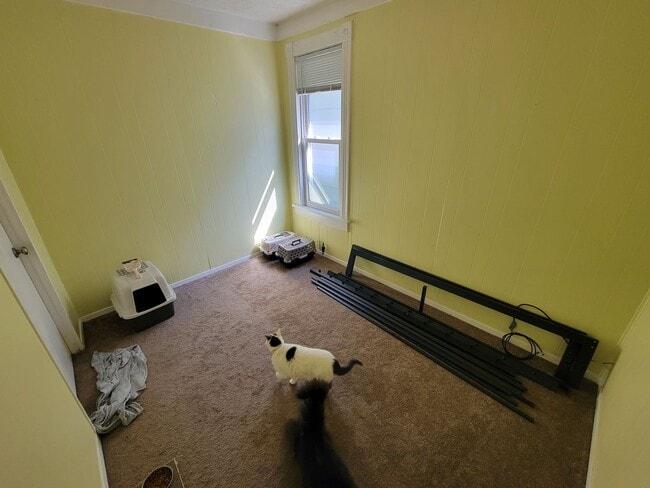 Building Photo - AVAILABLE April! - 4 Bed, 2 Bath Bright & Spacious Home