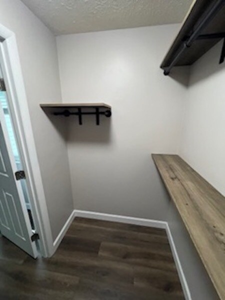 2nd BR Walk-in closet - 8892 Eagleview Dr