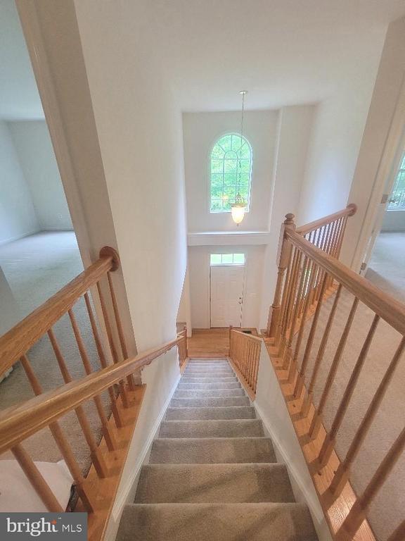 Building Photo - 440 Reedy Creek Rd
