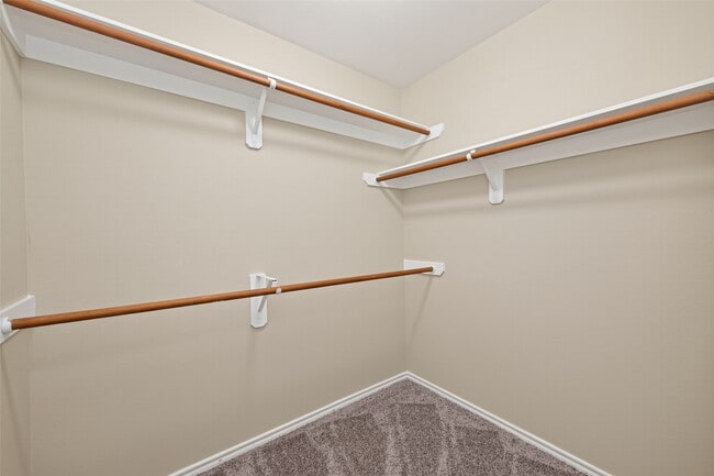 Building Photo - 169 Musewood Ct