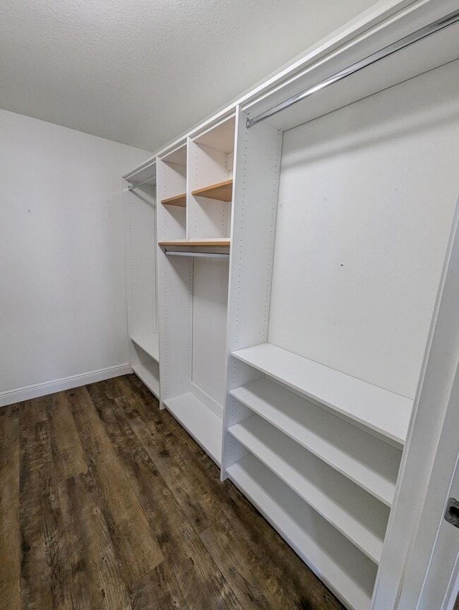 Building Photo - 8129 Segura St