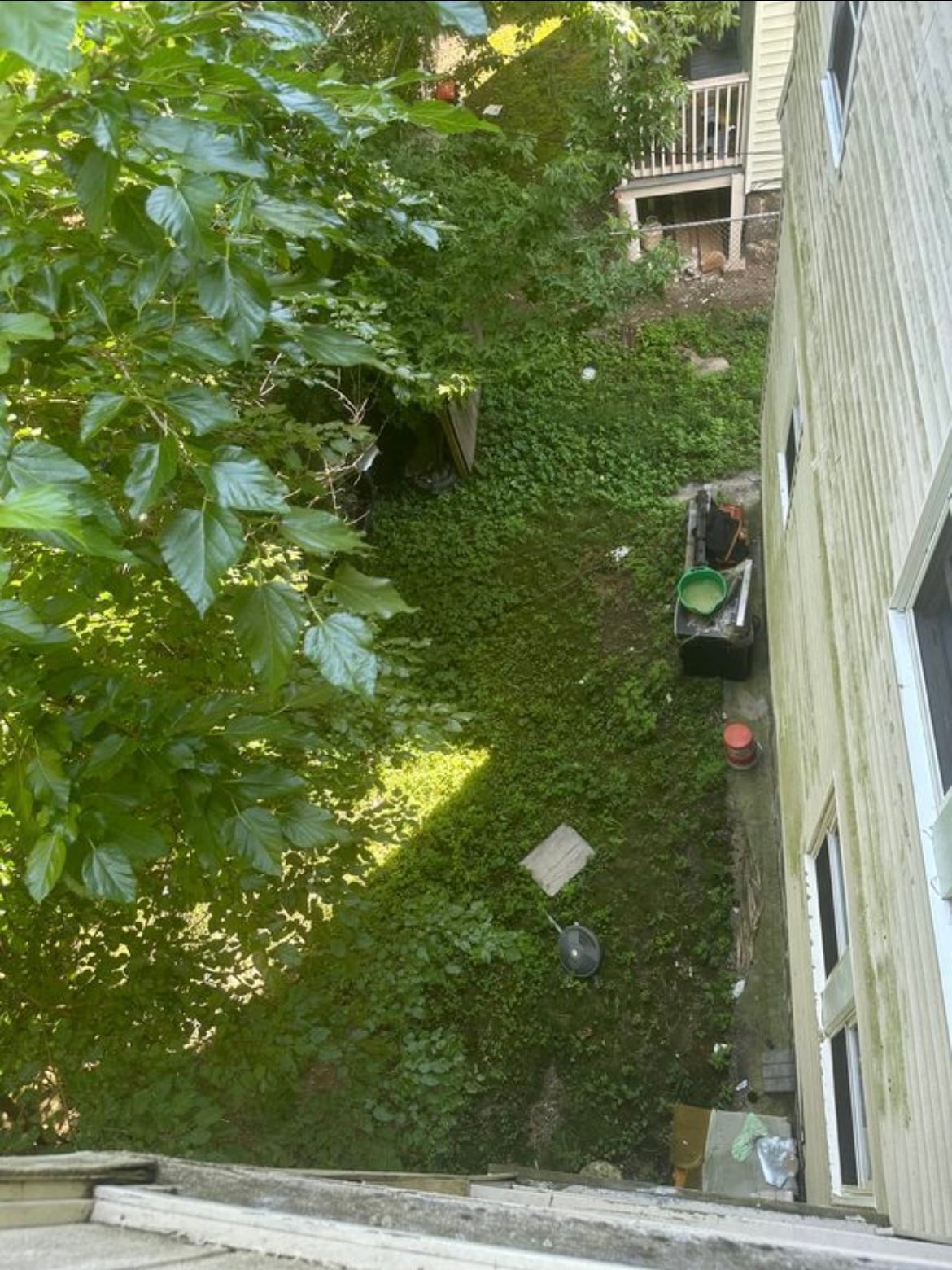 Building Photo - 18 Wentworth Ter