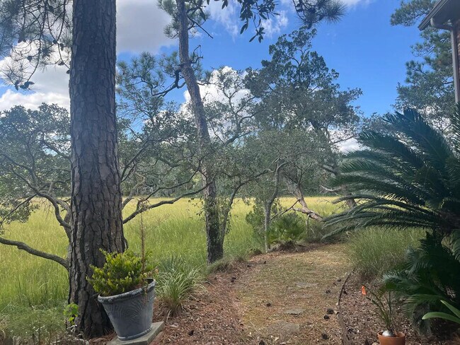 Building Photo - 412 St Charles Ct