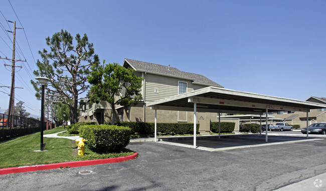 Primary Photo - Citrus Grove Apartments