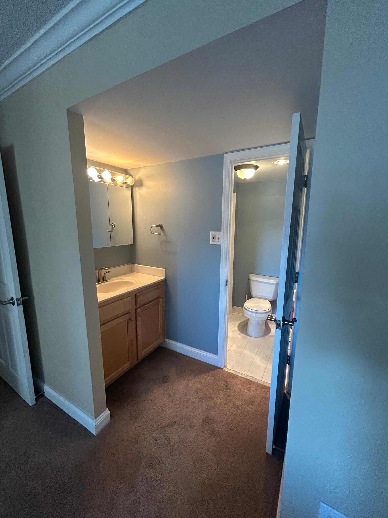 Bedroom #1 Bathroom - 4500 S Four Mile Run Dr