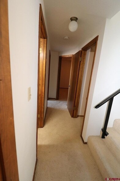 Building Photo - 2305 Pelota Dr