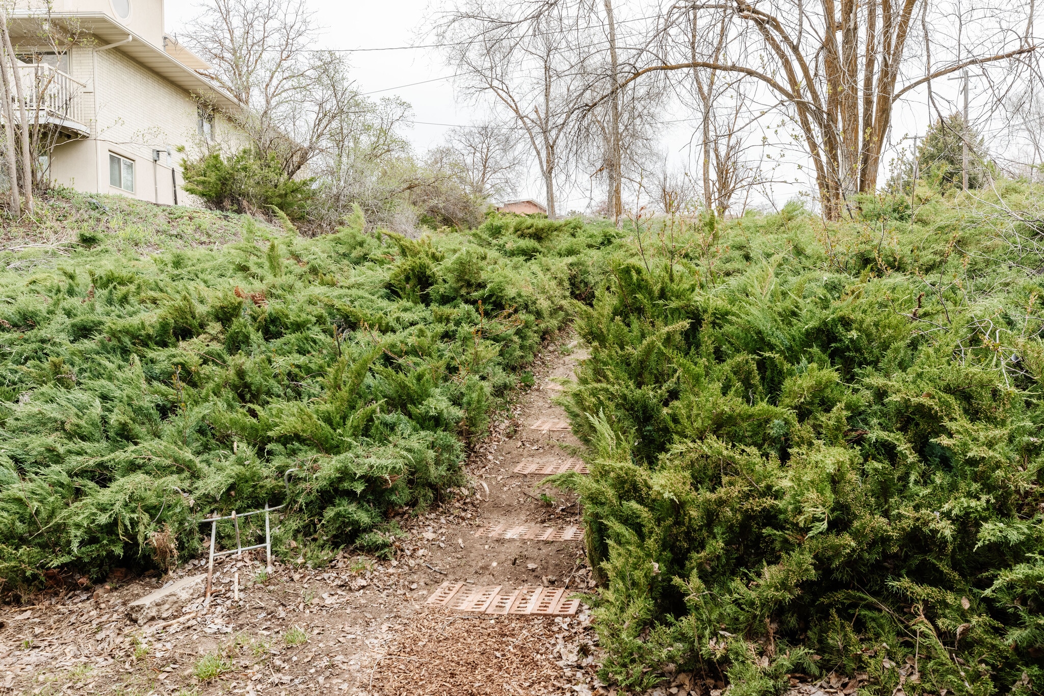 Access to back yard - 815 Orchard Dr
