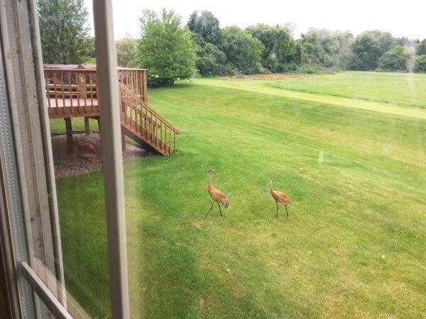 Building Photo - 5432 W Burning Bush Ln