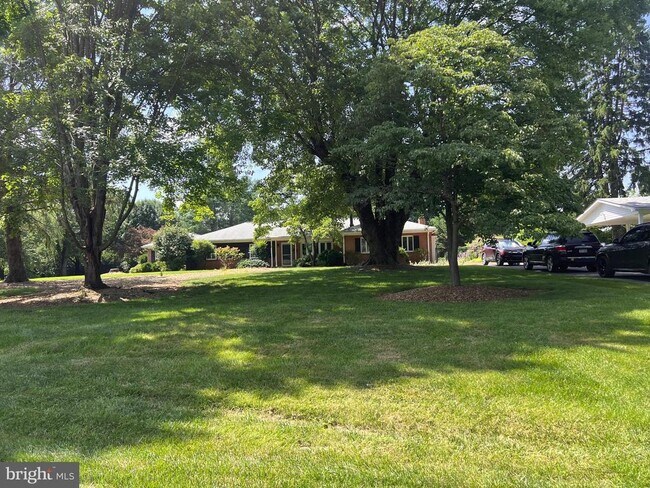 Building Photo - 245 Treeline Dr