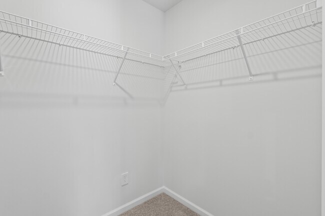 Building Photo - 815 Coburg Ln