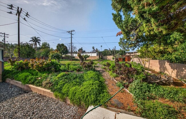 Building Photo - Spacious Updated Single Story - Walk to LLUMC