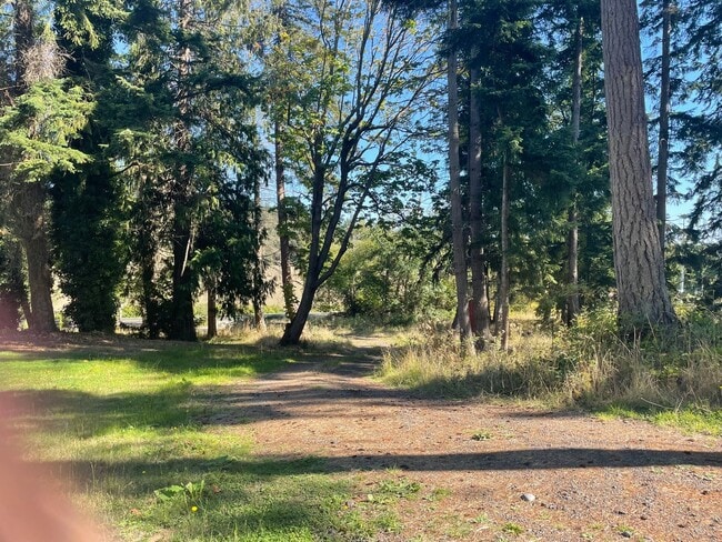 Building Photo - Newer Double Bluff Home In The Woods!