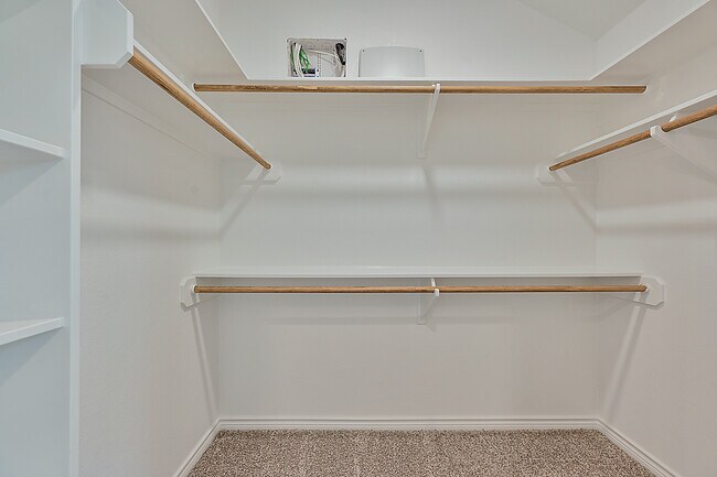 Building Photo - 3109 Brady Ct