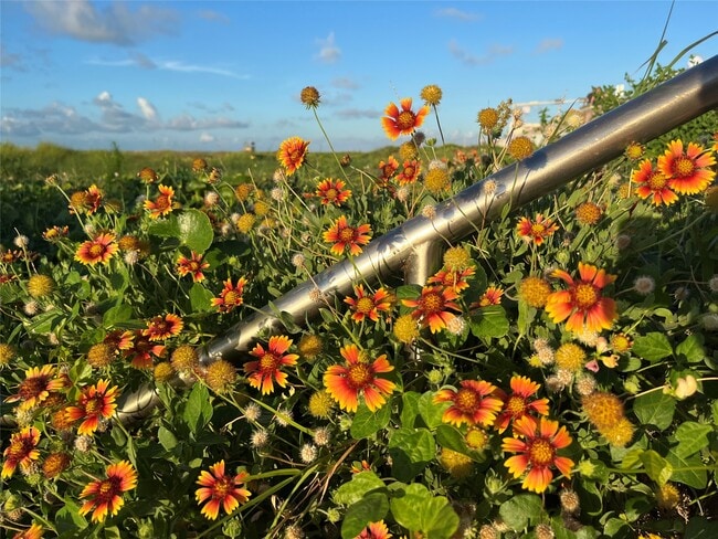 Building Photo - 2627 Avenue K