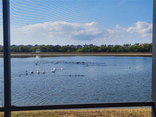 Building Photo - 872 Olive Conch St