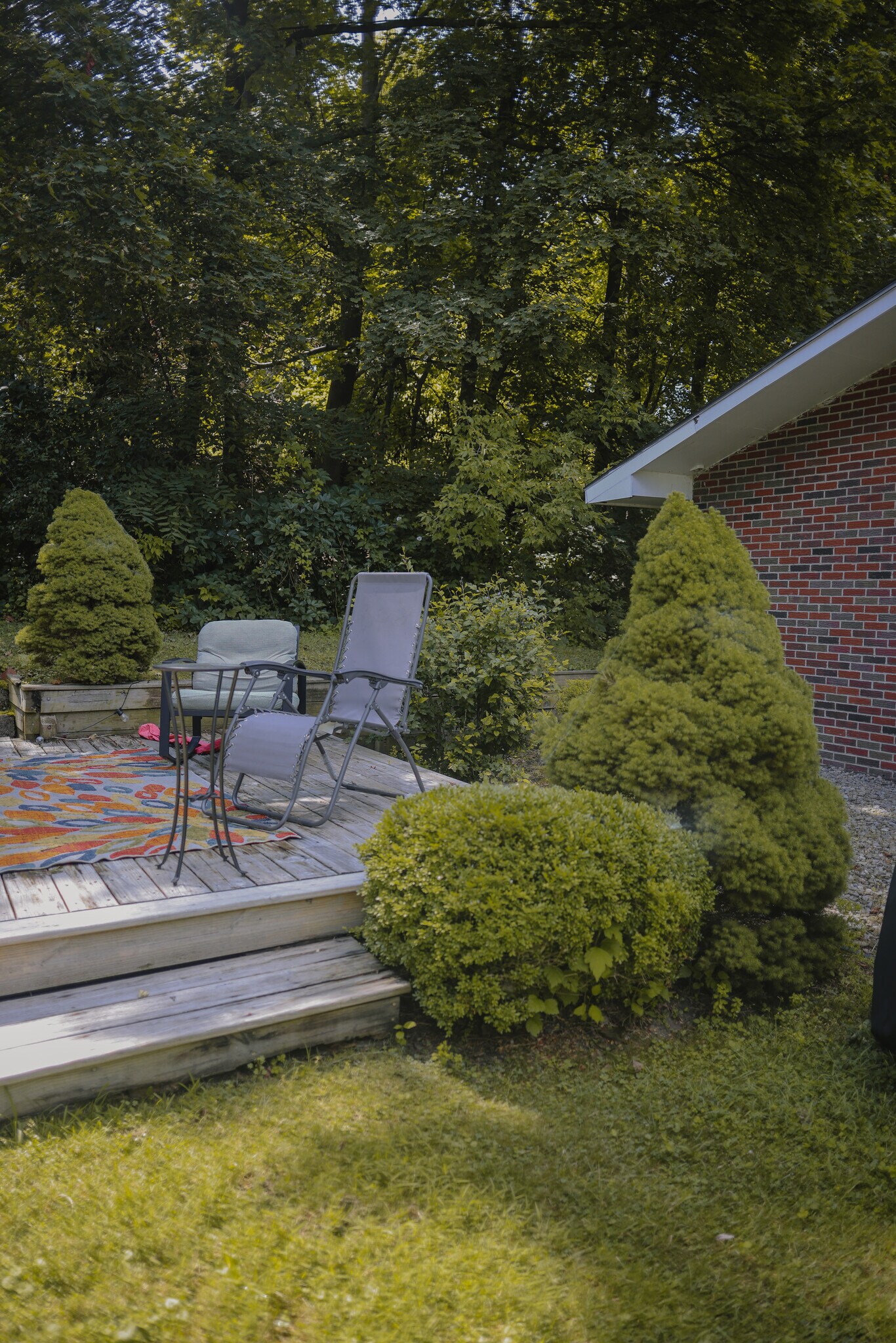 Shared backyard - 223 Merrill St