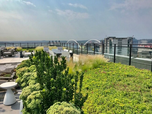 Building Photo - Brand New One Bedroom for Rent at Fabulous...