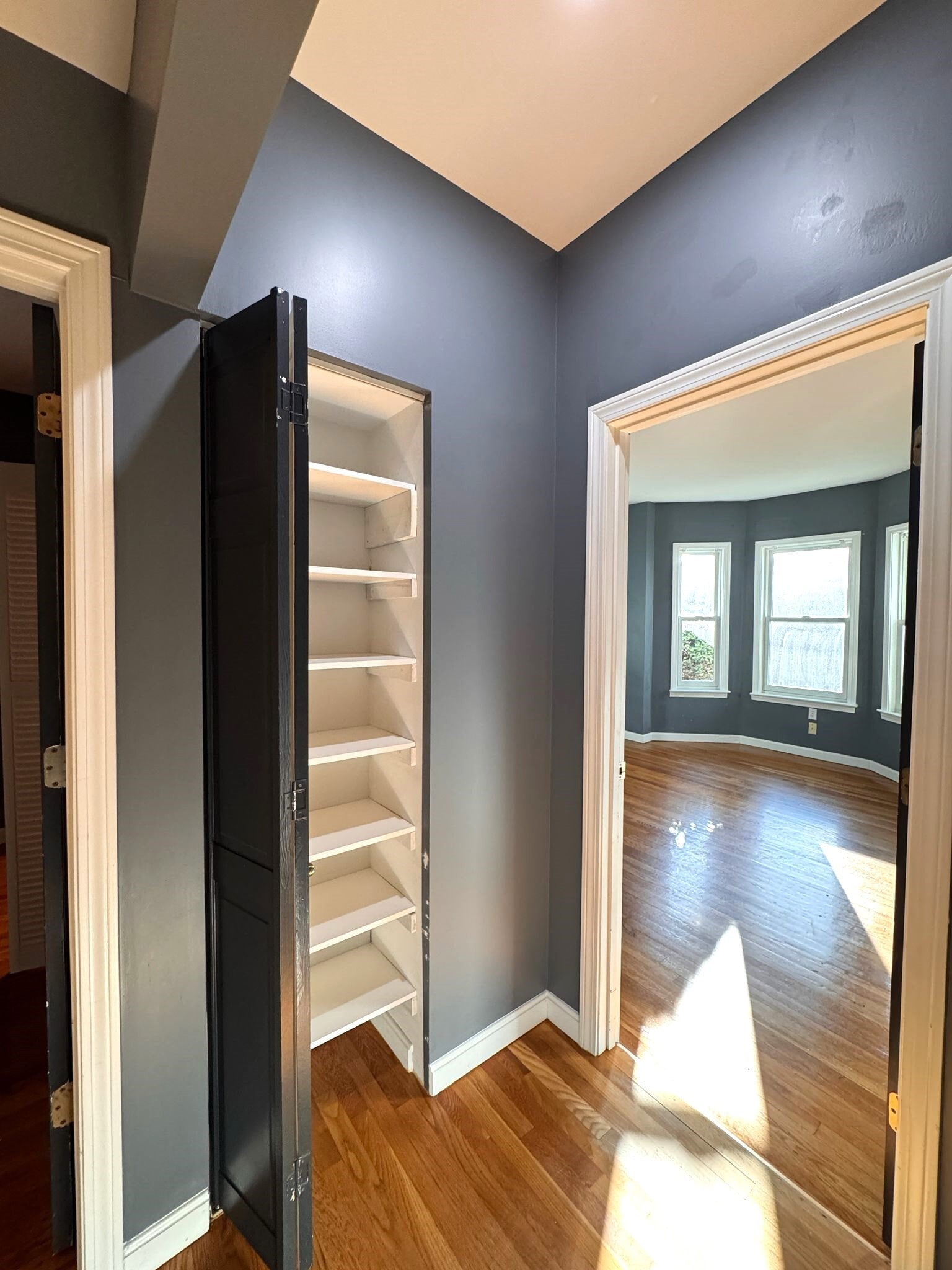 Building Photo - 37 Homer Ave