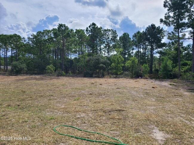 Building Photo - 262 Currituck Dr