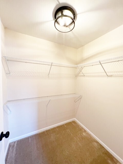 Building Photo - 3211 Wedgewood Dr